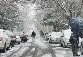 Ўзбекистонга совуқ ҳаво массалари кириб келмоқда —