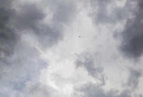 “Ўзгидромет” маълумотига кўра, 17 апрель куни Ўзбекистон