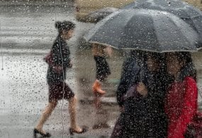 12 февраль, пайшанба куни мамлакатнинг бир қатор