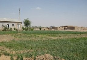 O‘zbekistonda yer uchastkalari bo‘yicha yangi qonun qabul qilindi