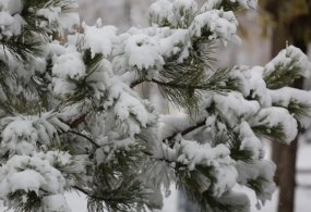 Ўзгидромет 31 январь ҳамда 1–3 февраль кунлари