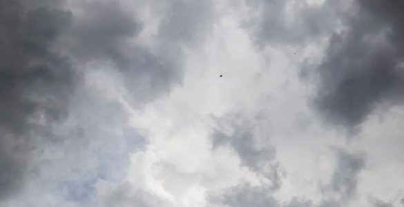 “Ўзгидромет” маълумотига кўра, 17 апрель куни Ўзбекистон