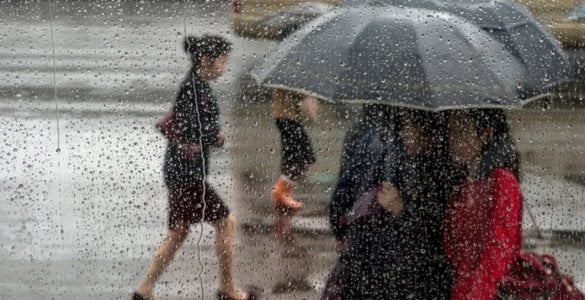 12 февраль, пайшанба куни мамлакатнинг бир қатор