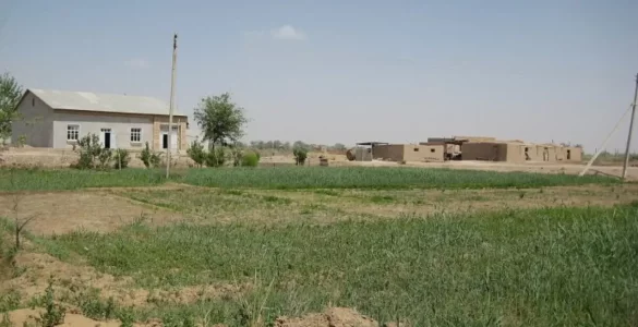 O‘zbekistonda yer uchastkalari bo‘yicha yangi qonun qabul qilindi