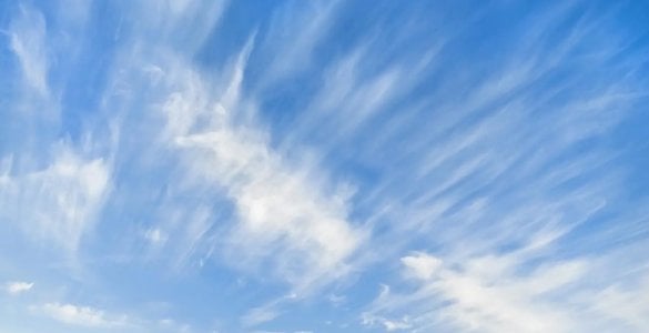 25 март куни Ўзбекистон ҳудудида об-ҳаво шароити бироз