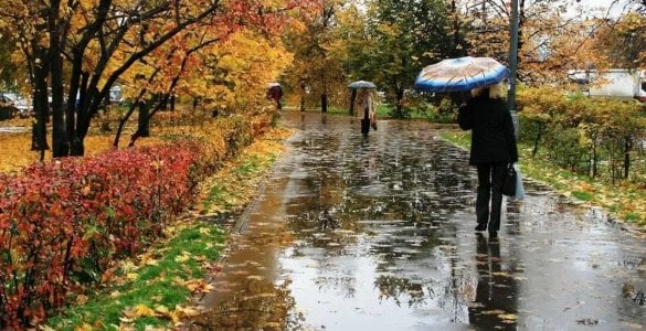 «Узгидромет» представил подробную информацию о погодных