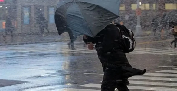 “Ўзгидромет” маълумотига кўра, 12 март куни Ўзбекистонда