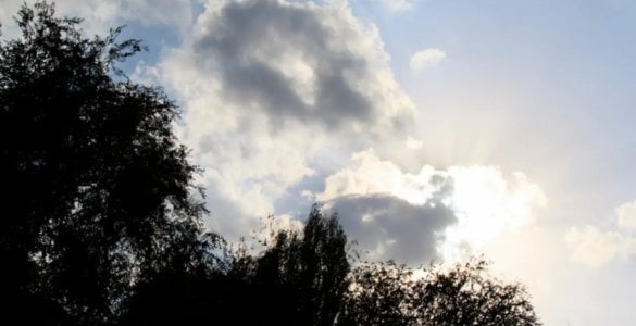 Ўзгидрометнинг 25 февраль учун прогнозига кўра, мамлакат