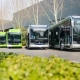 2025 йил бошидан Ўзбекистон ҳудудларига 241 та автобус етказилди