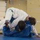 The European Judo