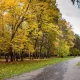 “Ўзгидромет” маълумотларига кўра, Қорақалпоғистон