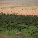 Foto: Earth.org Xitoy insoniyat tarixidagi eng keng