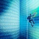 Суи Нетворк блокчейн тармоғи ортида турган нотижорат