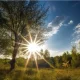According to Uzhydromet, on June 25, Tashkent will be