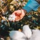 Навоий вилояти Кармана тумани ҳокими ўринбосари Шоҳруҳ