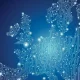In the first half of 2025, 12 startups in Europe closed