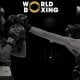 Ayni damda World Boxing Cupning birinchi bosqich bahslari