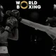 Ayni damda World Boxing Cupning birinchi bosqich bahslari