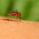 A situation causing serious concern in the field of