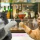 Yangi Zelandiyada mushuklar va itlar uchun alkogolsiz vino