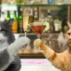 In New Zealand, the production of non-alcoholic wine for