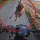 Венгрияда кутилмаган йўл ҳодисаси ижтимоий тармоқларда