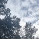 В Узбекистане в сентябре 2025 года наблюдался один из