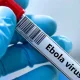Kongo Demokratik Respublikasida Ebola virusi bilan