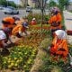 Тошкент шаҳрида мавсумий гул кўчатларини экиш ишларига