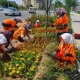 Тошкент шаҳрида мавсумий гул кўчатларини экиш ишларига