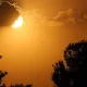 Жаркая жара постепенно проникает на территорию