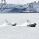 The U.S. Navy is developing drone ships that are intended