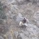 В Сурхандарьинской области зафиксирован случай, когда