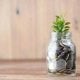 A special investment platform will be launched in