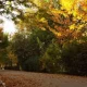 Uzhydromet has announced the weather forecast for