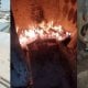 Buxoro viloyatida tabiiy resurslardan foydalanish