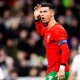 The Portugal vs Ireland match from Group F of the World