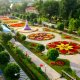 Toshkentda keng ko‘lamli Gullar festivali davom etmoqda.