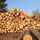 Prices for timber supplied from Austria to Qatar for