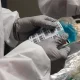 The U.S. Defense Advanced Research Projects Agency (DARPA)