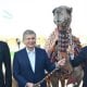 Бугун, 22 август куни Туркманистонда амалий ташриф
