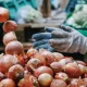 In January–June 2025, 3.8 million tons of vegetables were