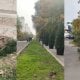 Toshkent