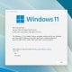 Microsoft Windows 11 операцион тизимининг навбатдаги