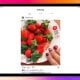 Nihoyat! Instagram Apple planshetlari tarixida birinchi