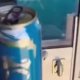 In Tashkent, a bus driver removed a passenger for drinking