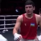 The World Boxing Championship for adults, taking place in