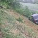 Андижон вилояти Жалақудуқ туманида икки автомобиль