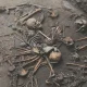 Information about the discovery of human skeletons during
