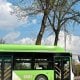 Toshkent shahar avtobus yo‘nalishlari endi viloyat
